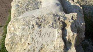 Adam